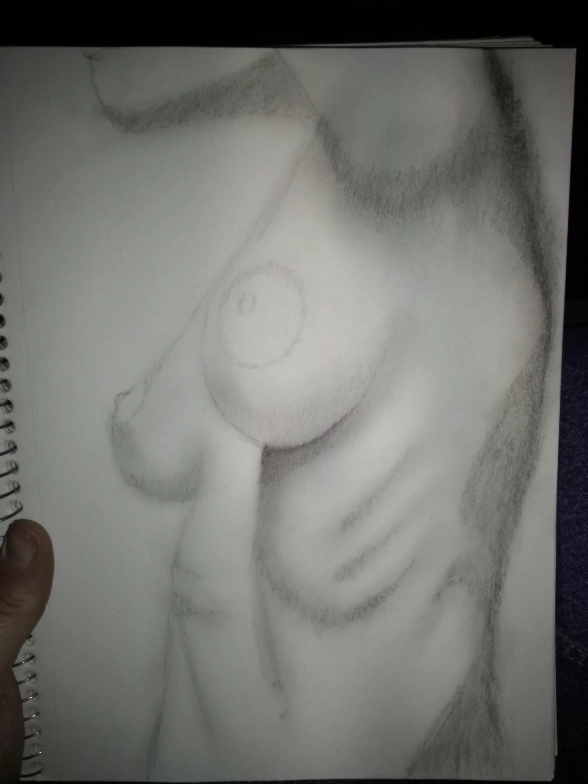 Just a semi quick sketch.