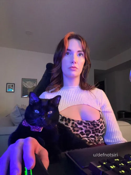 Me logging on to shitpost 🤭