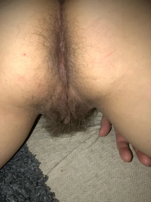 Wife’s pussy from behind, just before.