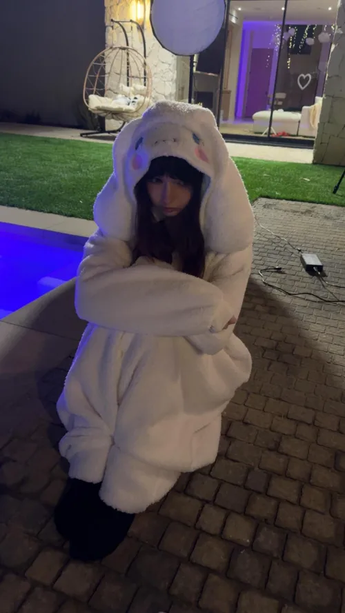would you pet a cute bunny like me?