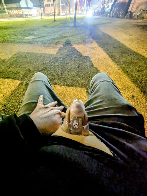 Yesterday evening in a small park