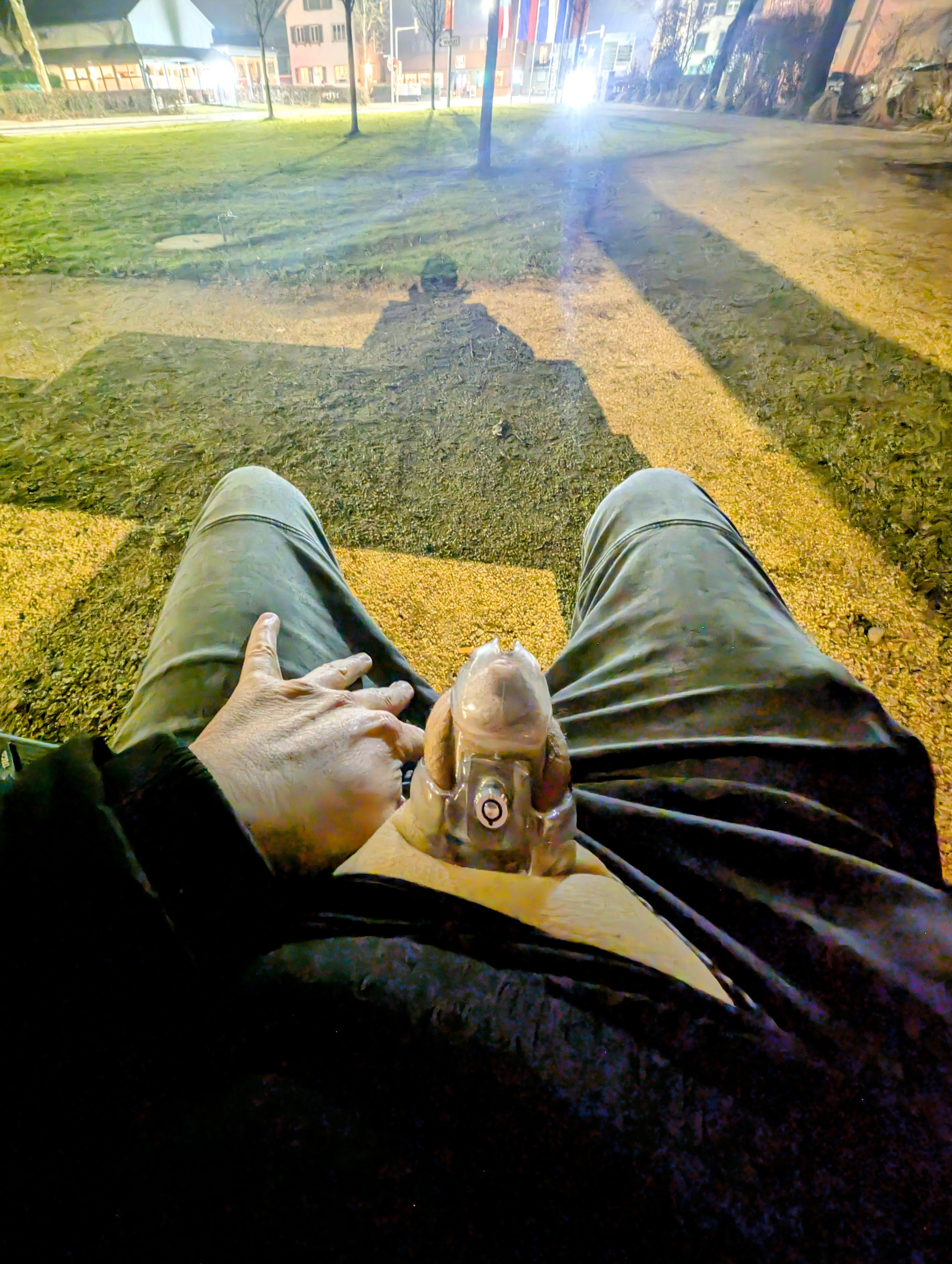 Yesterday evening in a small park