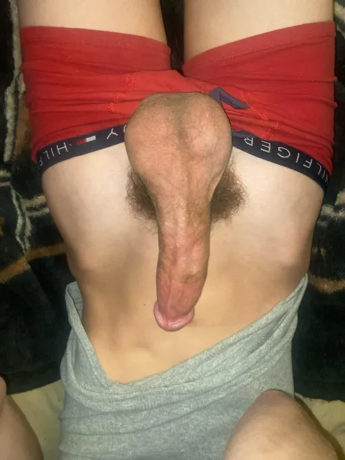 [19] my balls are huge