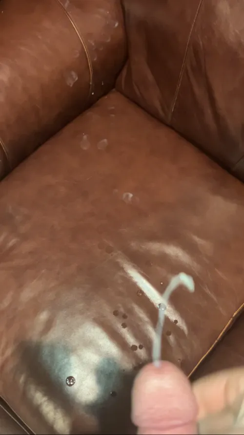 (28) My friends couch