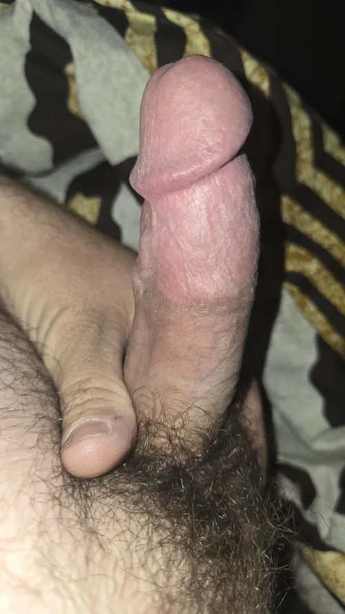 29 m dms open