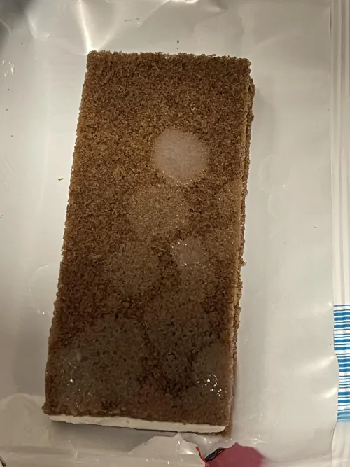 [38] I tagged my Treat 💦🤤