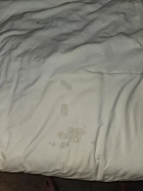 (40) Tagging Motel Bed