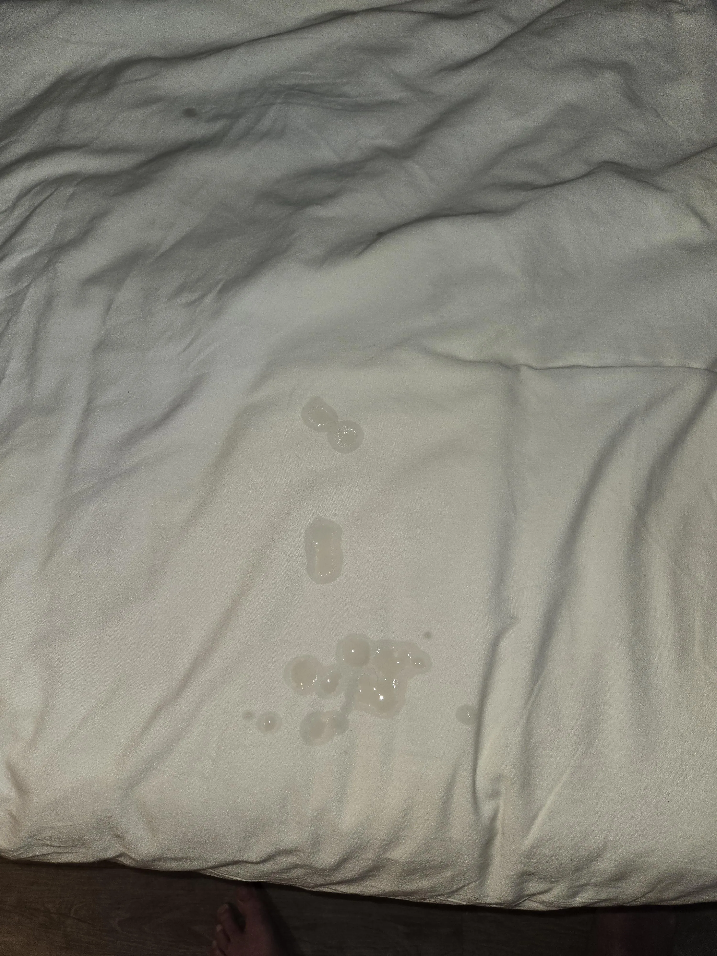 (40) Tagging Motel Bed