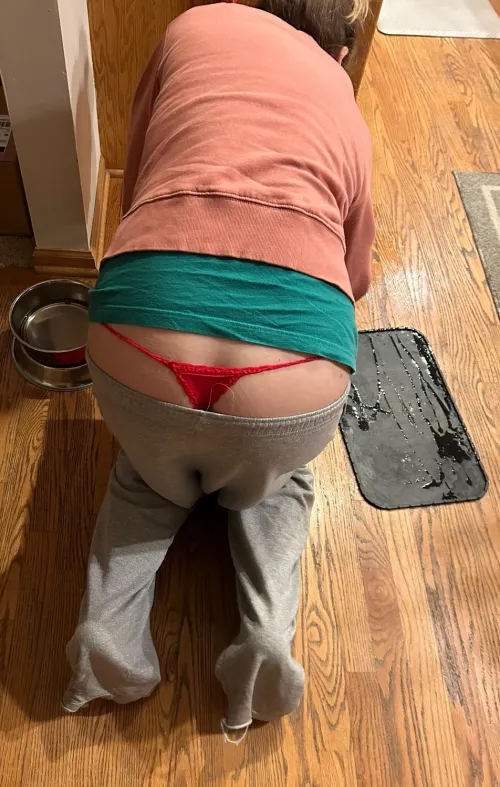 Anyone else’s dog love to make a mess? 😫