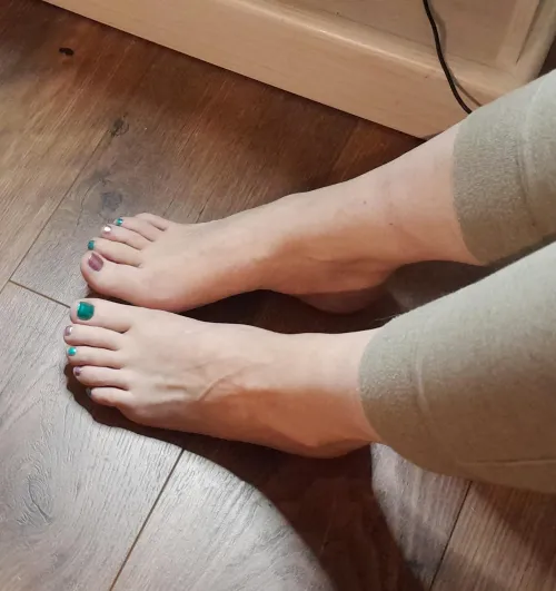 Colors of the winter