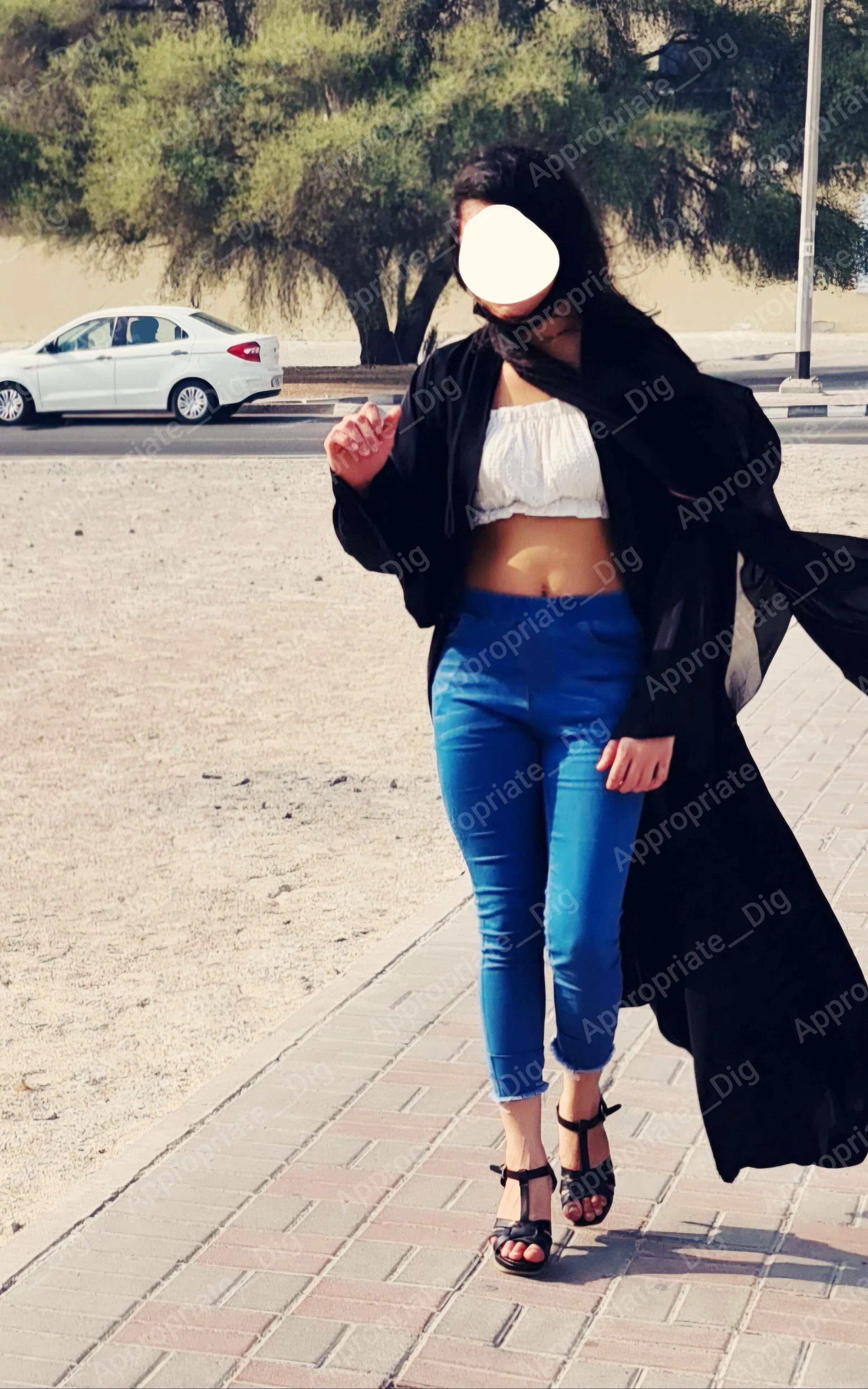 Craving for chicken korma