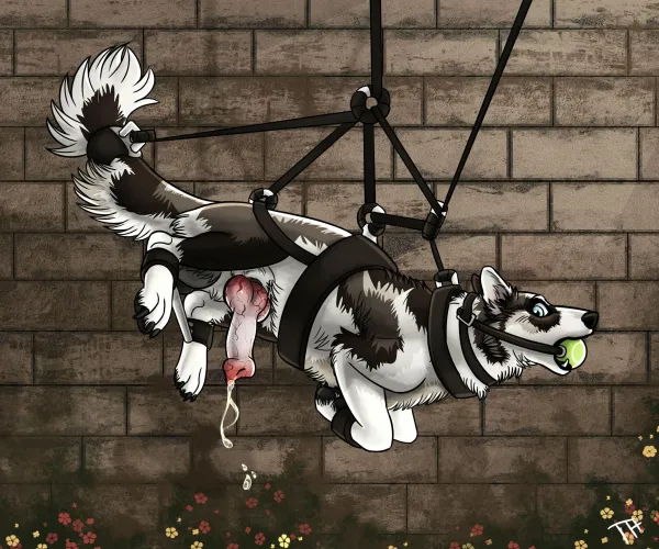 Get your New toy, him are beautiful