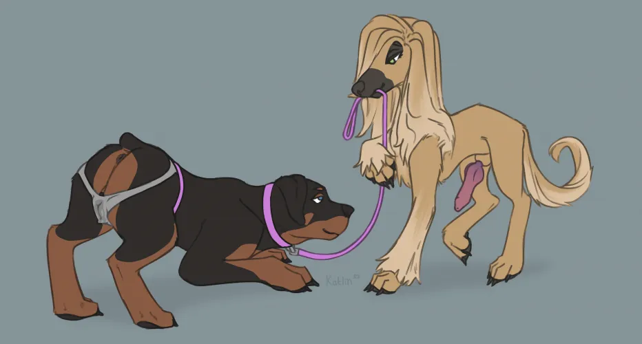 Hello Mr, it's your day. You going to be a very good boy~~