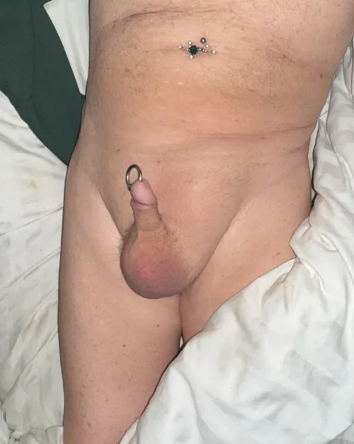 Needs a shave , but smooth  (77)