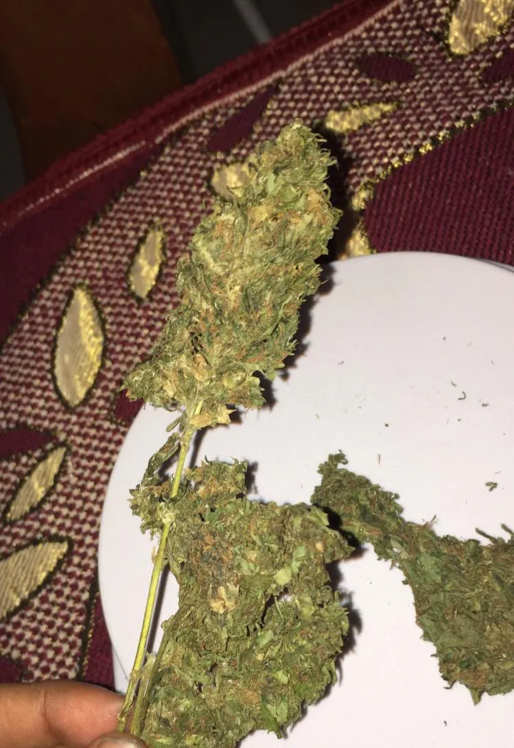 Not your avg (m) f c