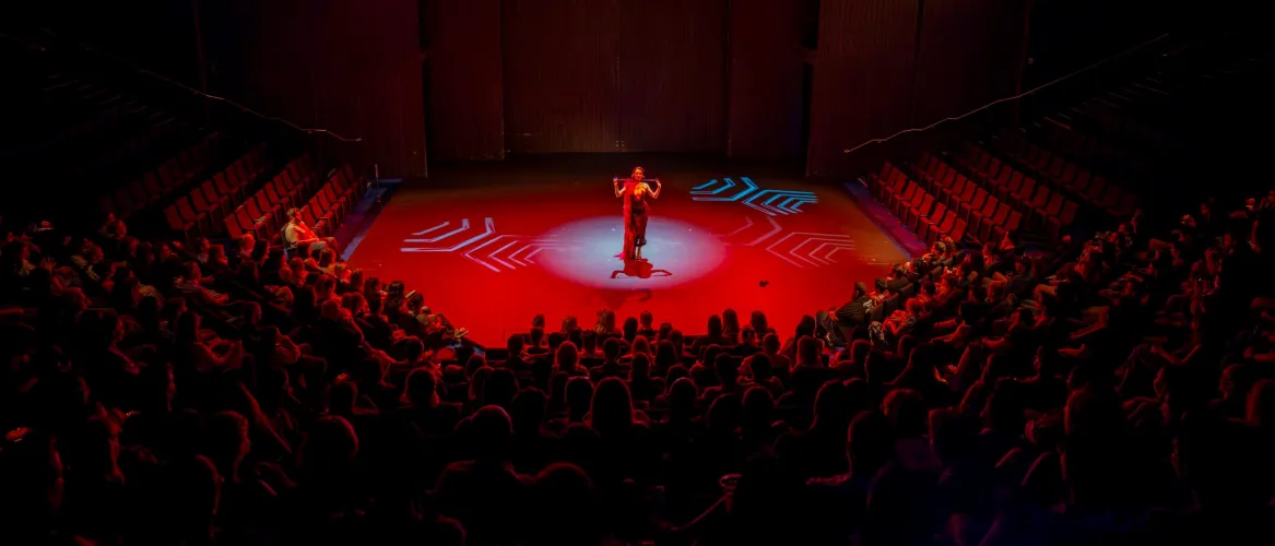 Obsessed with this photo from the Sydney show of the Kinky History tour!