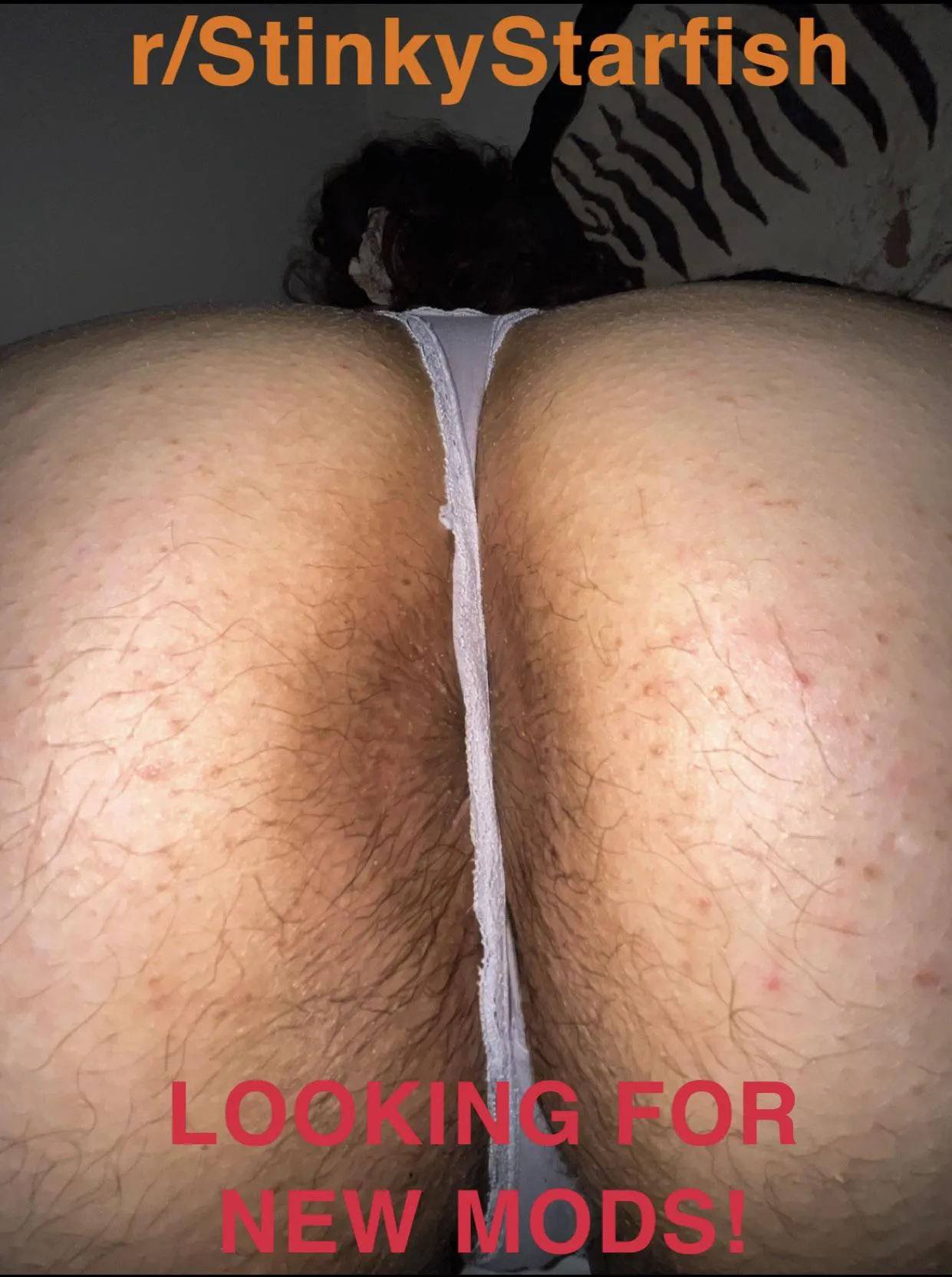 SOME NEW CHANGES- NEED MORE MODS!