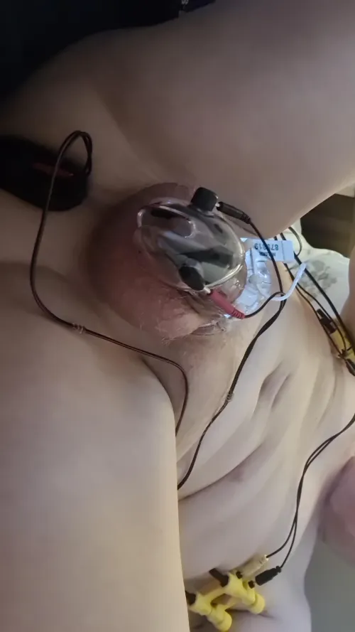 Something different today.