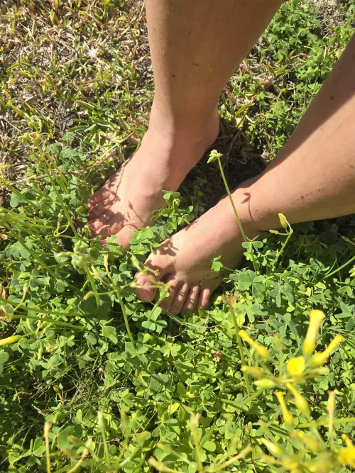 Sunny day and wanted to walk in my garden