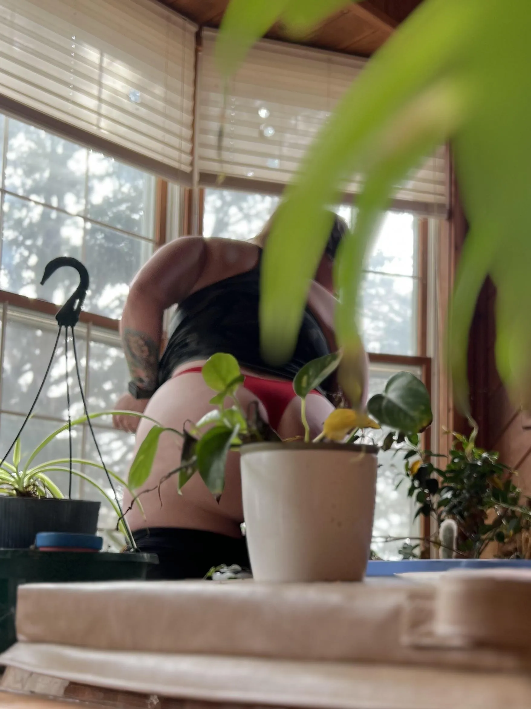 Watering my future MIL plants while she's on vacay! 🤫