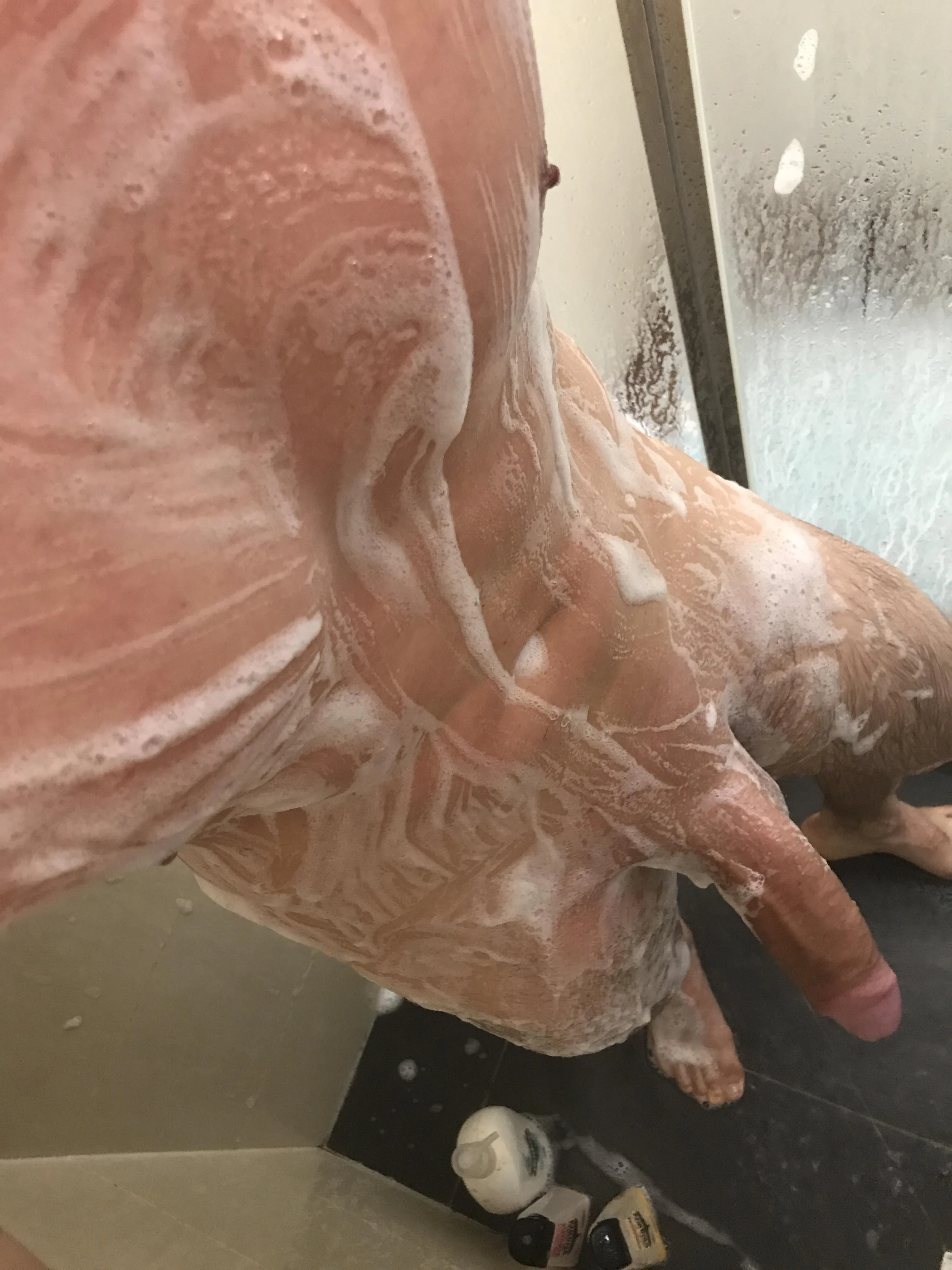 36 m BNE euro background for bull couple.