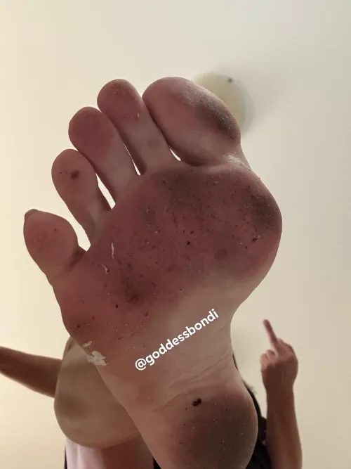 Breakfast is served pups. Place your order on throne 👸