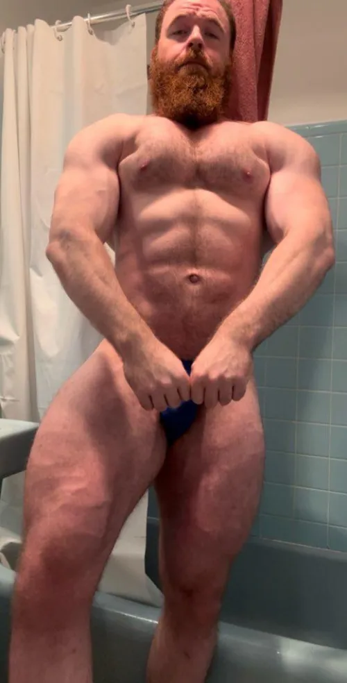 Bulk day 2. 270-something