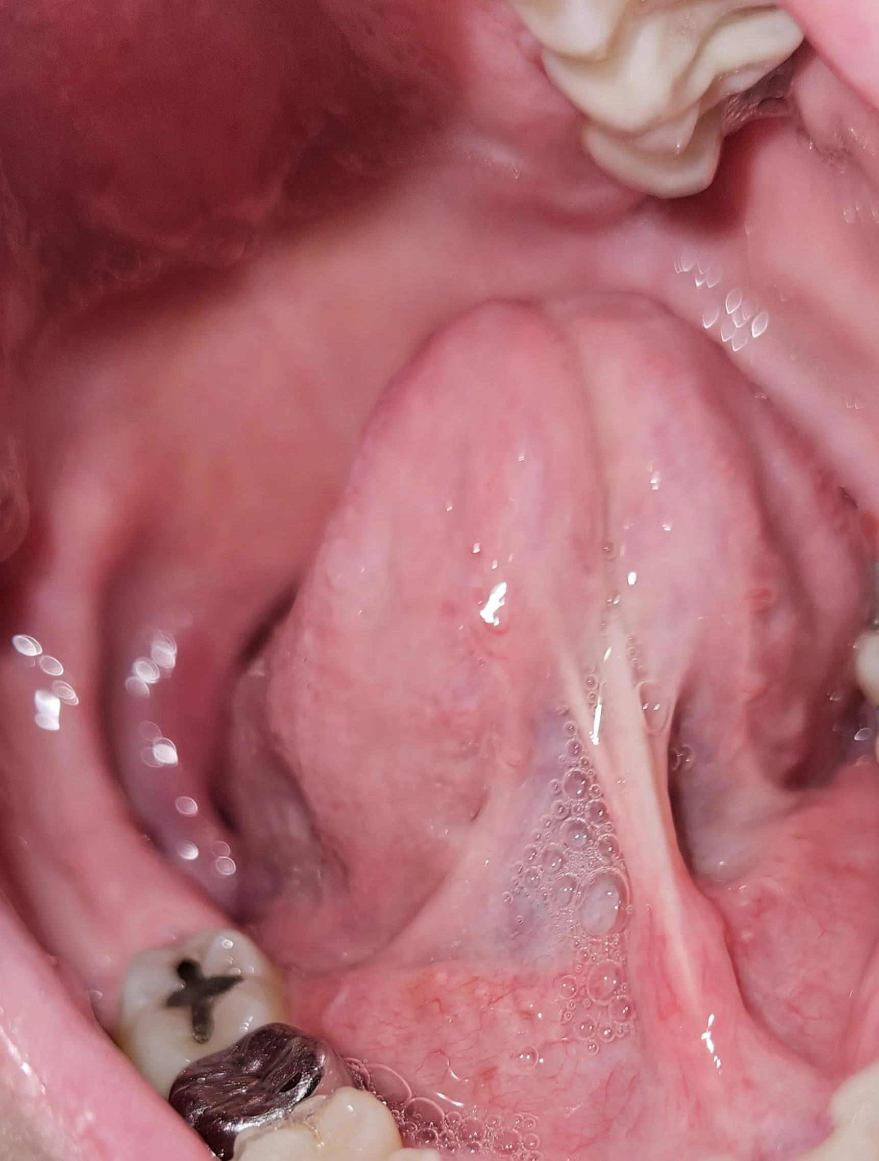 Come hangout under my tongue