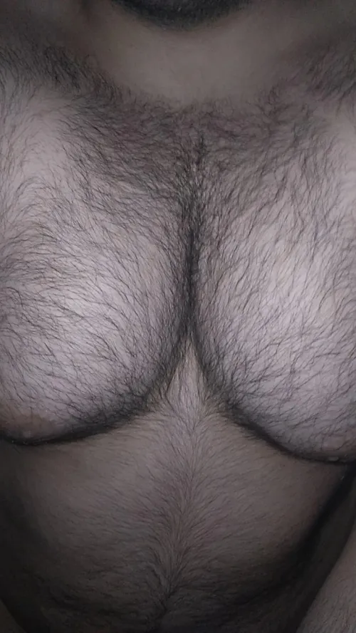 do you like my hairy tits?
