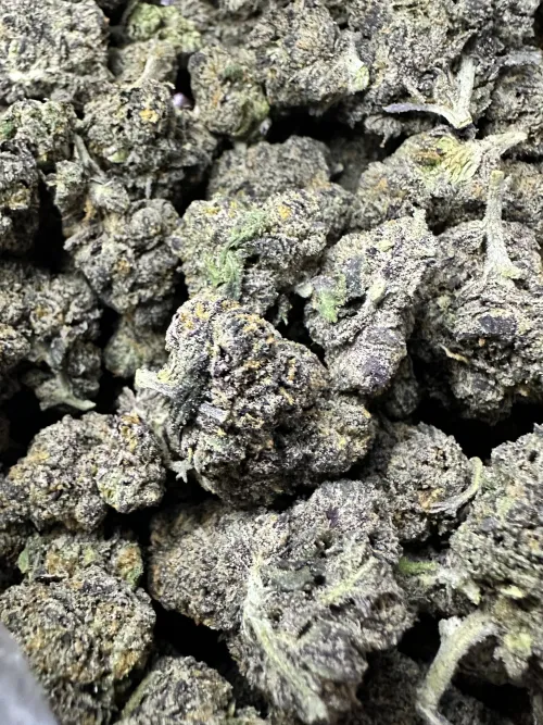 Great quality 📍 n Dallas