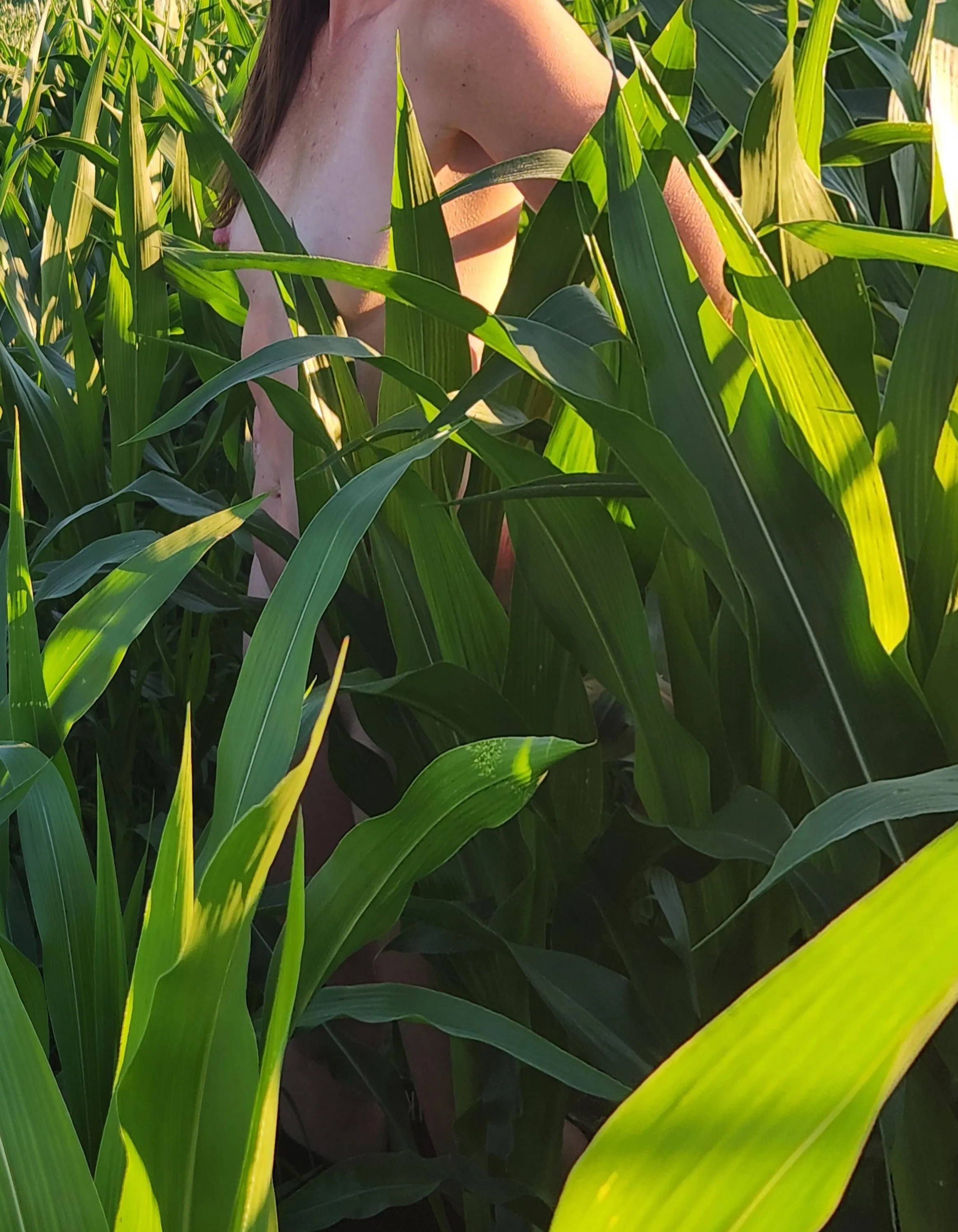 Hoping spring is around the corner.