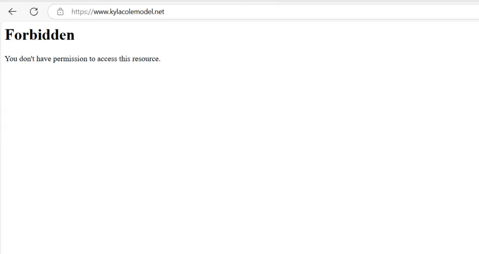 I try to visit Kyla's website but it comes out below error. Is her website shut down now?