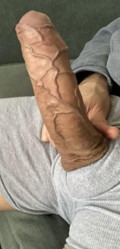 My veiny cock.