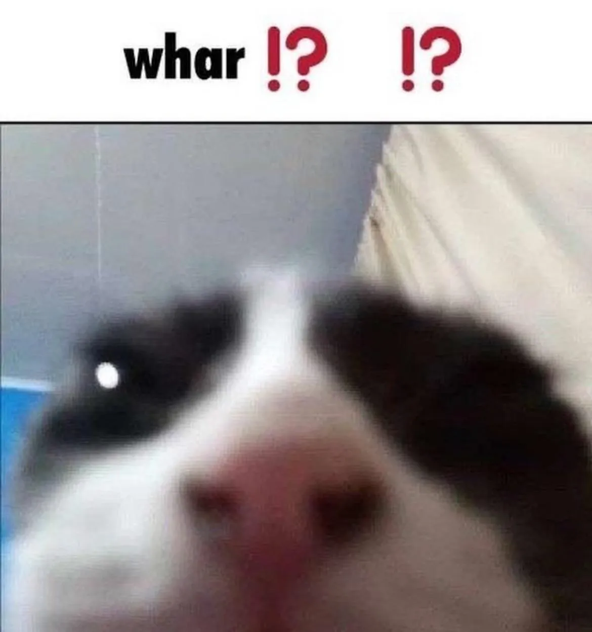 Petition to ban non-board screenshots