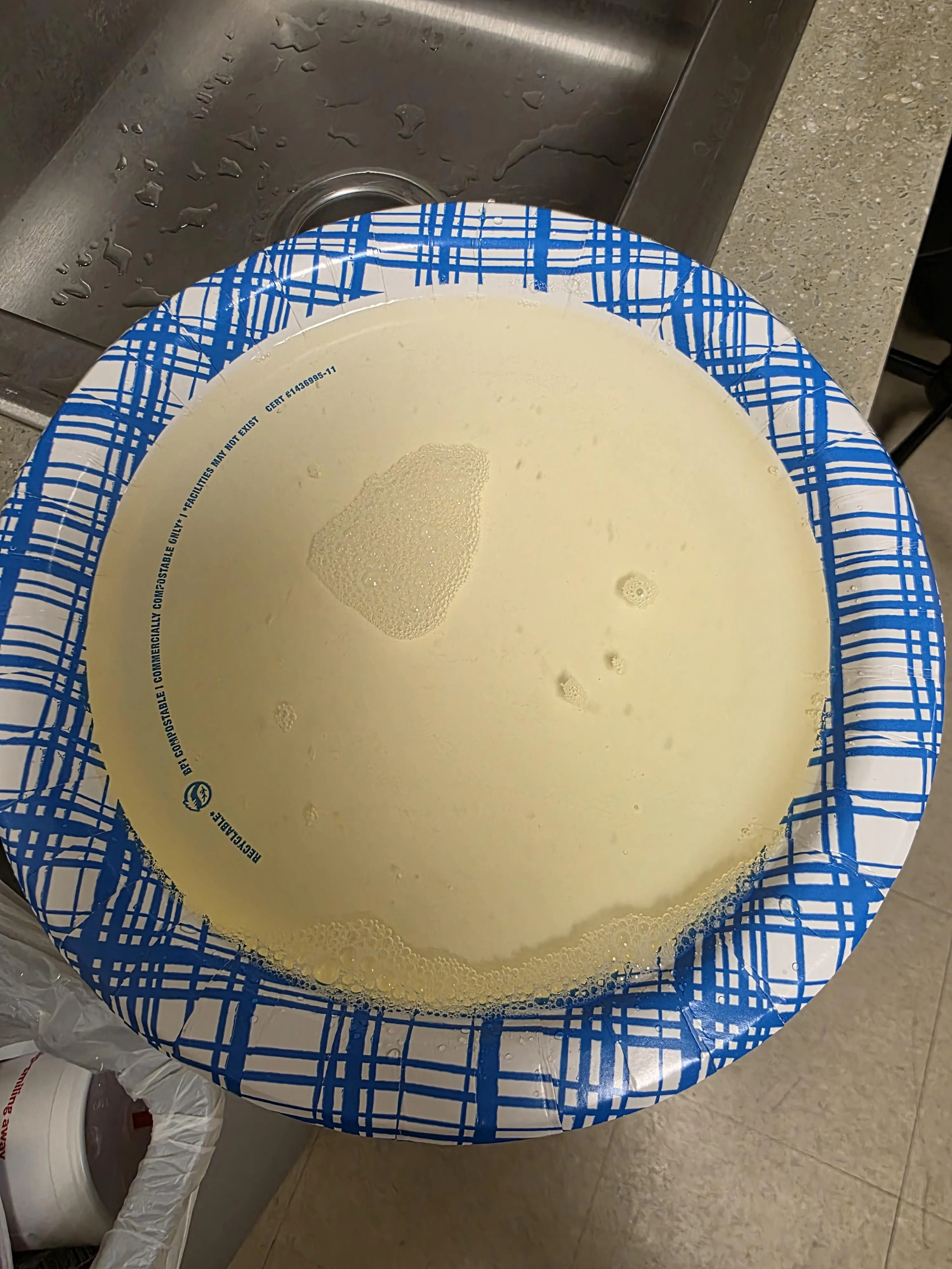 Pissed on a paper plate