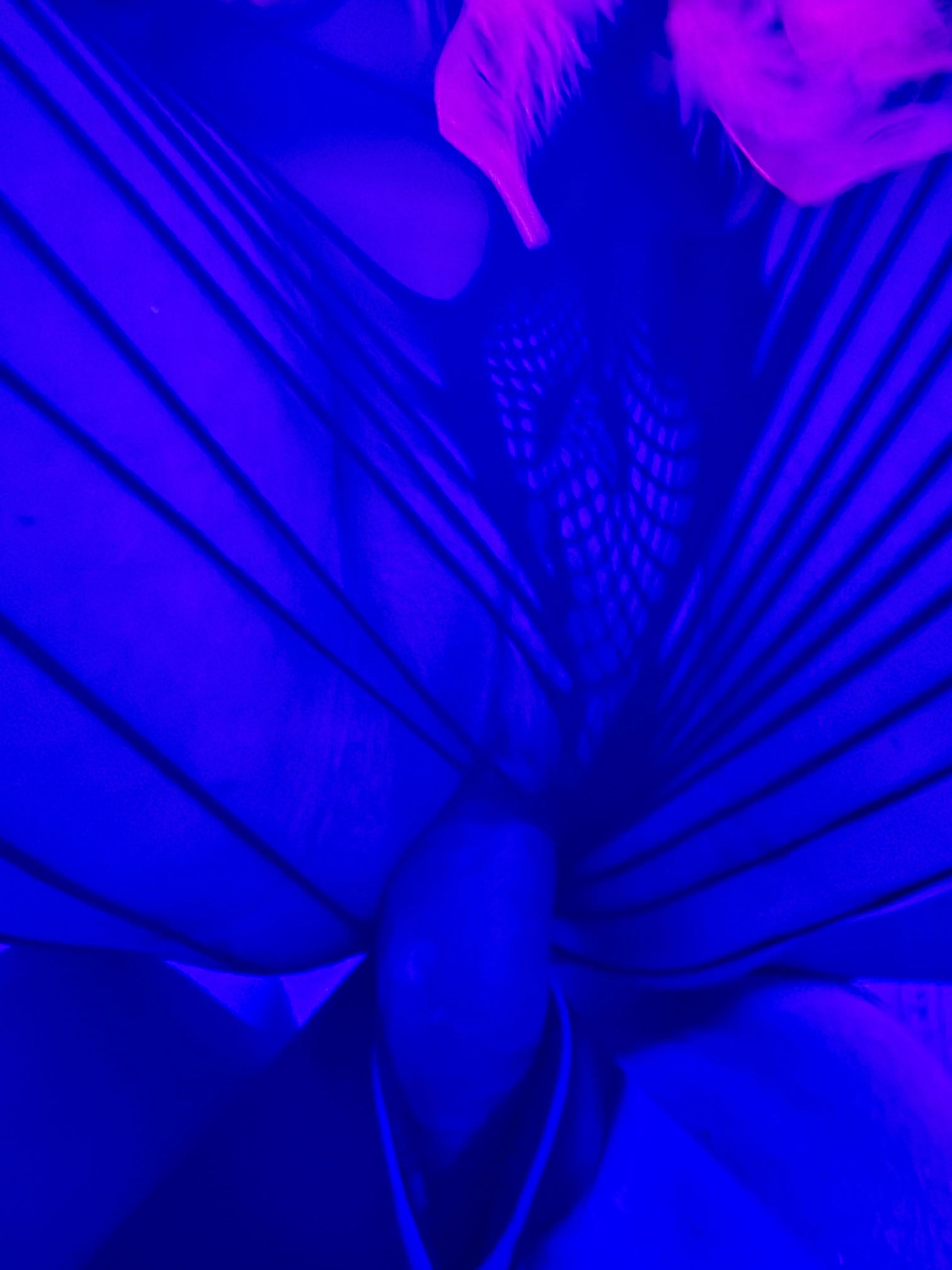 the very best feeling ^^