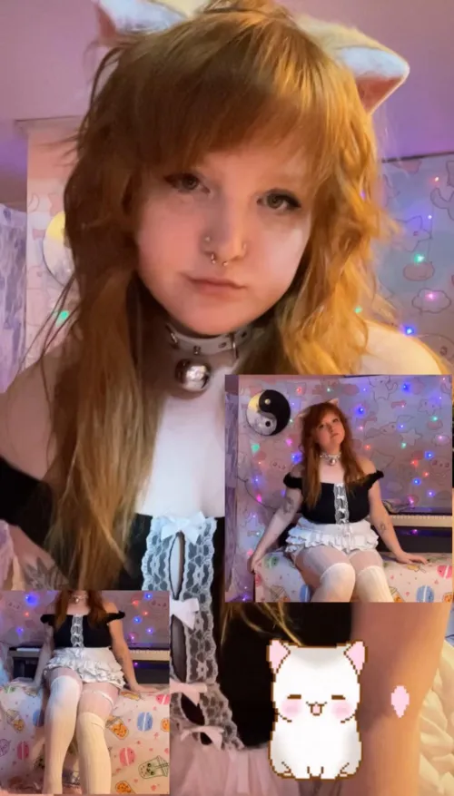 Want to see my tail plug collection?