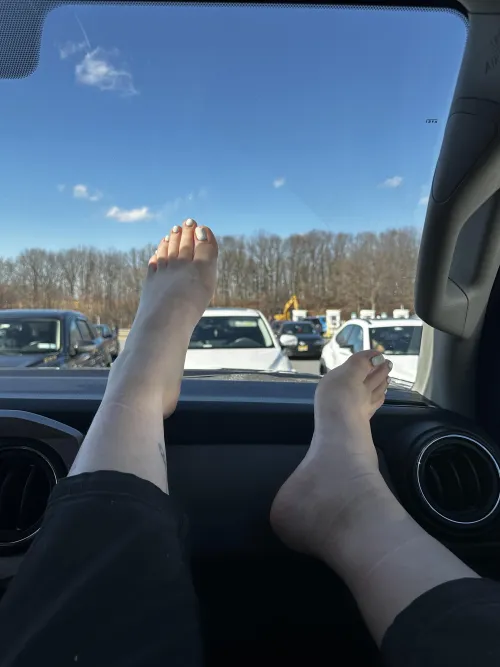 Would you stop and take a look?