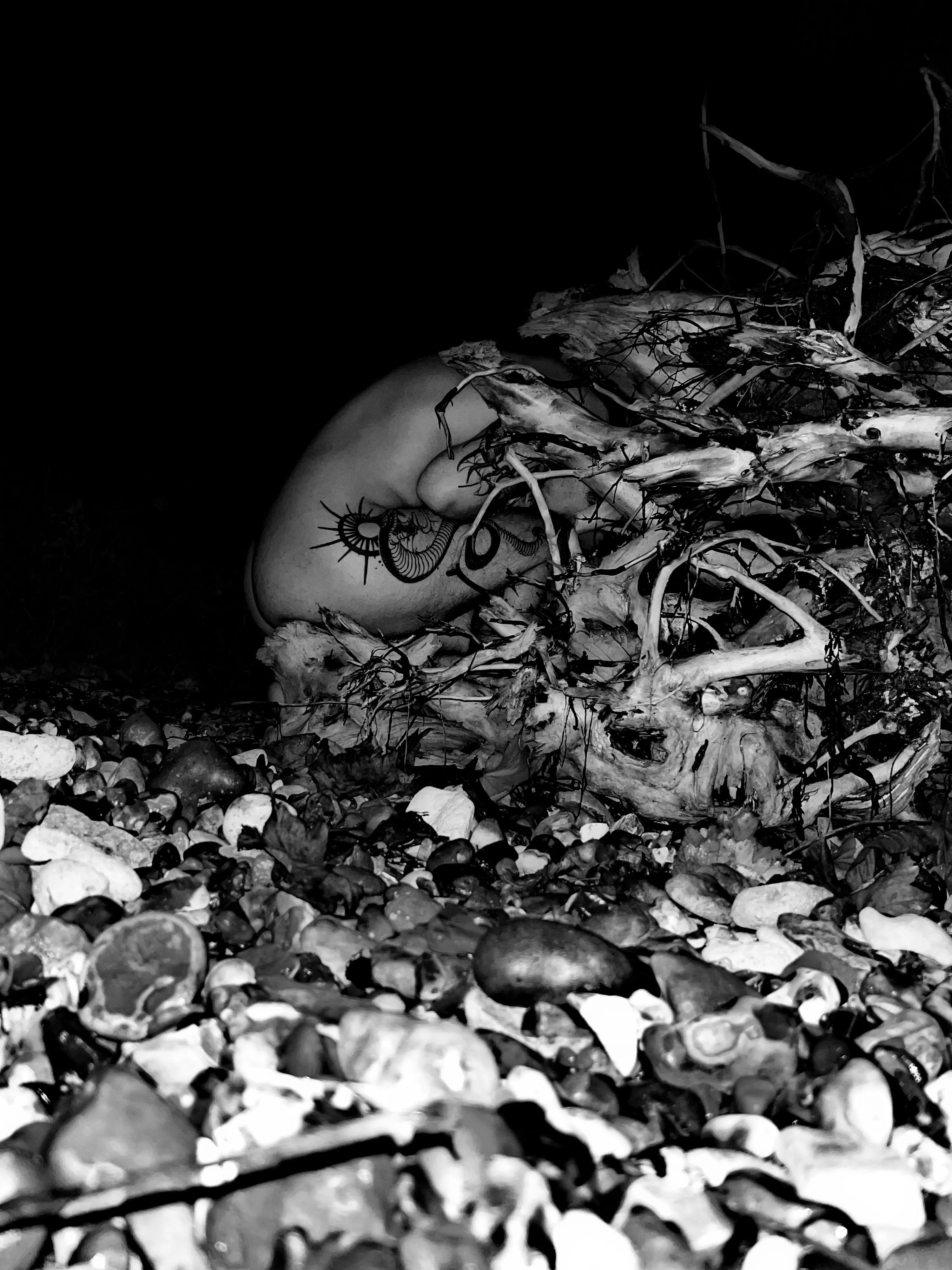 Amongst Driftwood (OC)