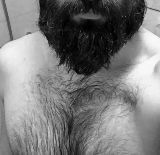 Anybody into combination of hairy chests and beards?