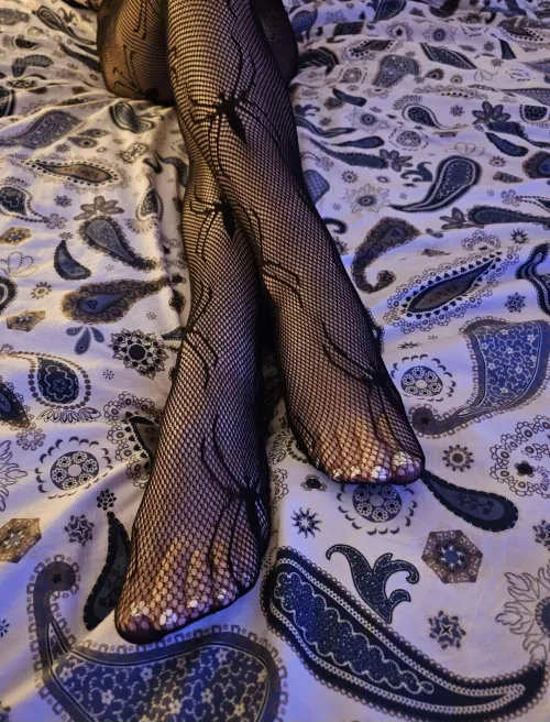 Do you like my feet in this fishnet stockings?