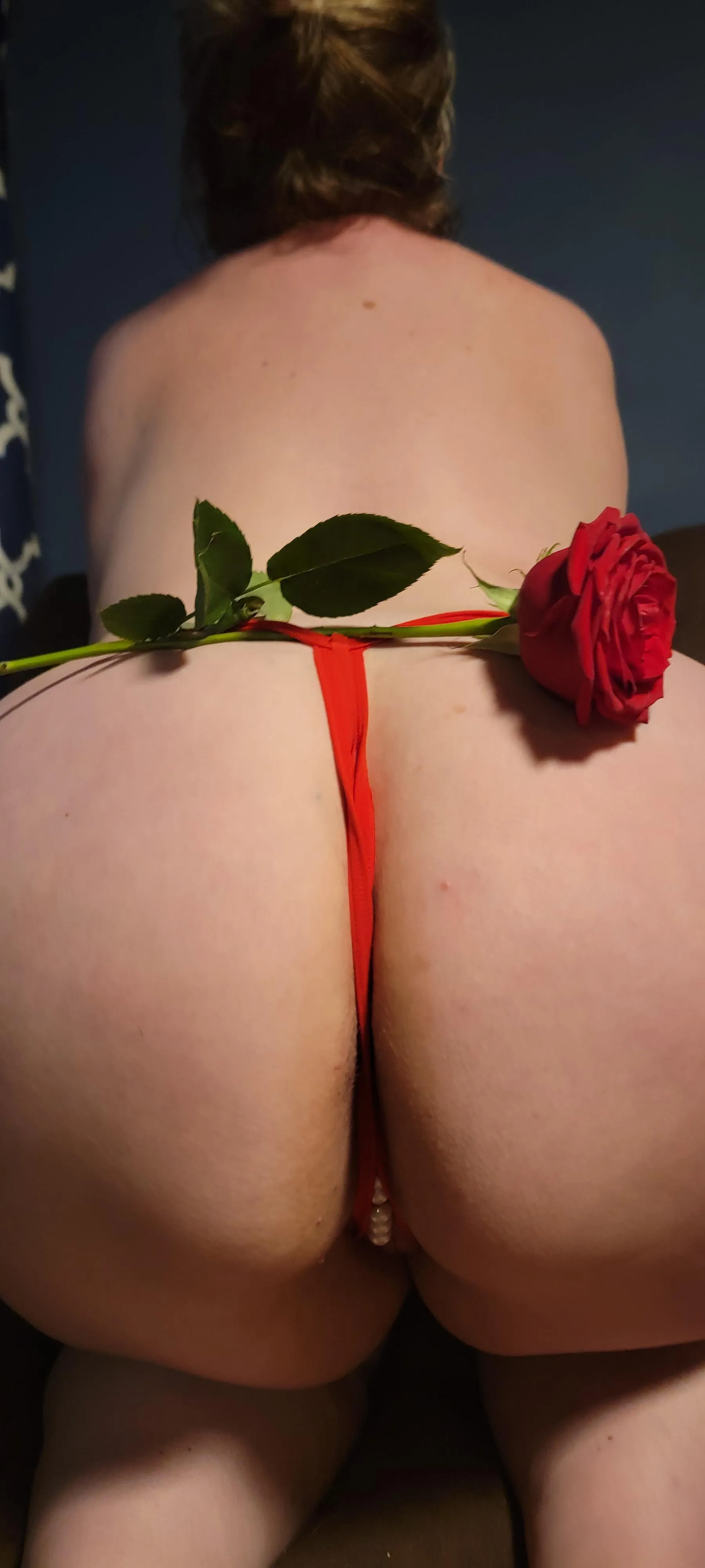 Happy Valentine's Day! [F]