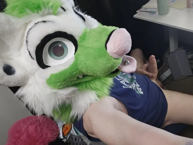 It's hard to focus on work when you're just s dog with a bone