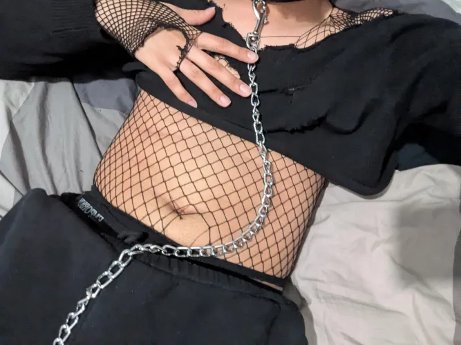 Pup bought herself a leash ૮ ᴖﻌᴖა