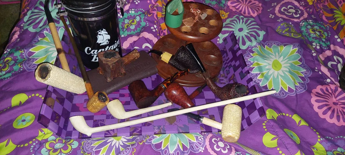 Which one would you pick?