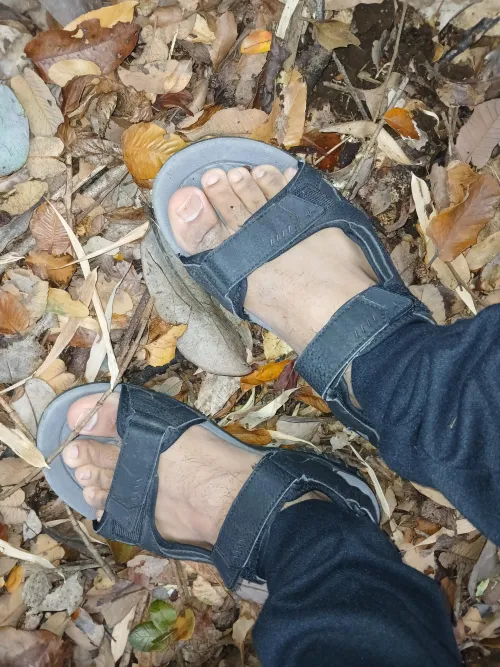 1 hour walking in the park