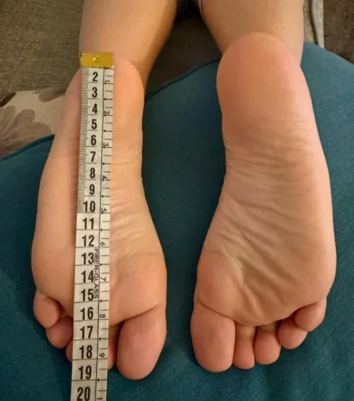 19 cm foot (7.6 inch)