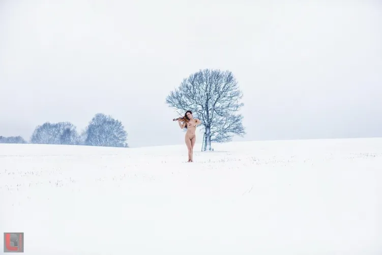 A tranquil winter wonderland