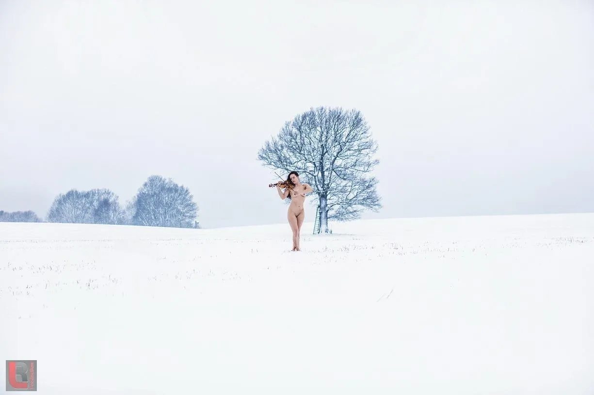 A tranquil winter wonderland