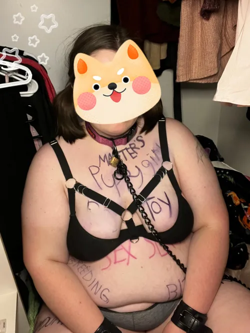 Before puppy had her cage, the anchor in the closet works just fine 🐶